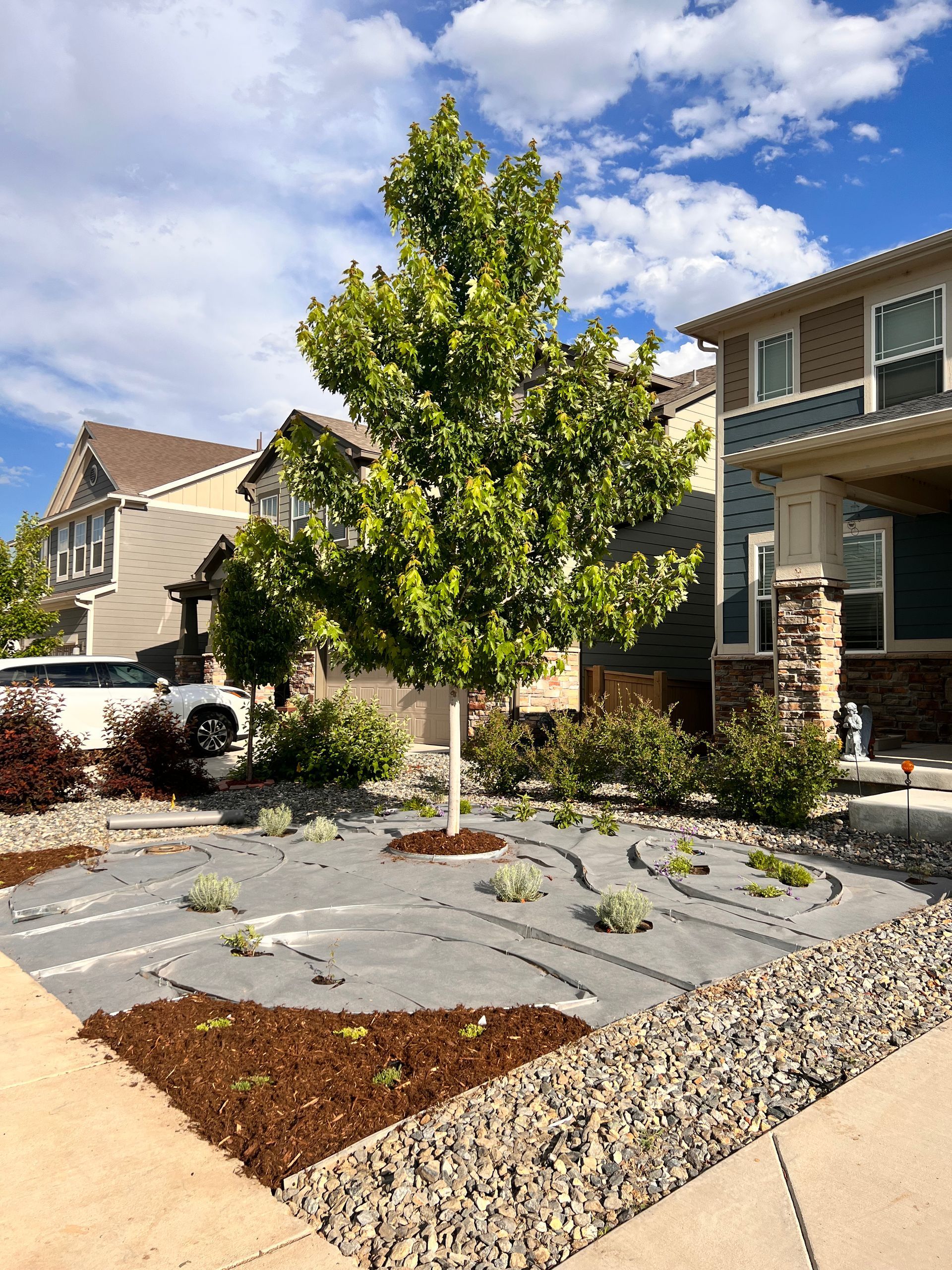 Landscaped front yard with tree, rock and mulch, in front of a house.