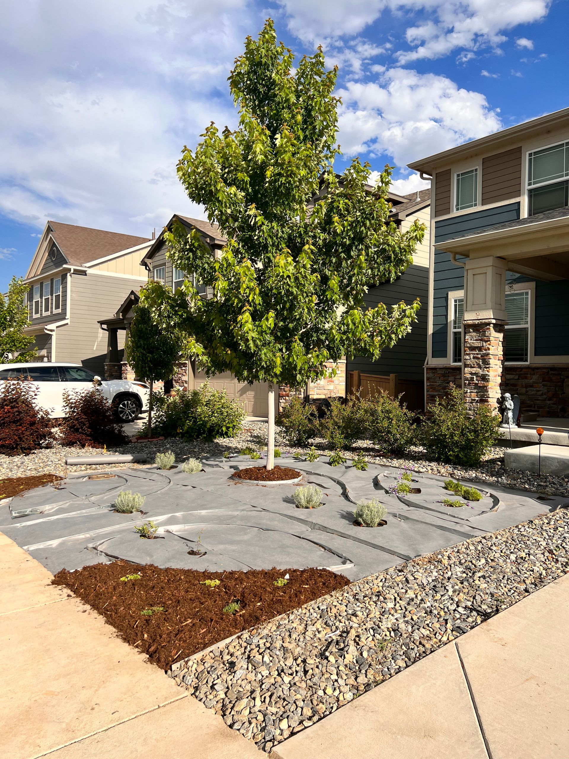 Front yard landscaping with a tree, gravel, and stone edging in front of a house.