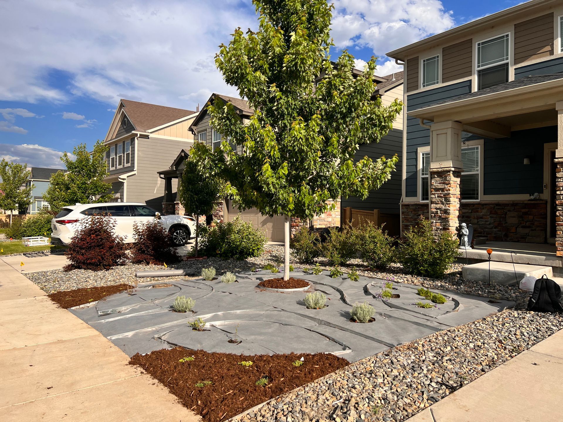 Landscaped front yard with a tree, plants, rocks, and mulch in front of a house.
