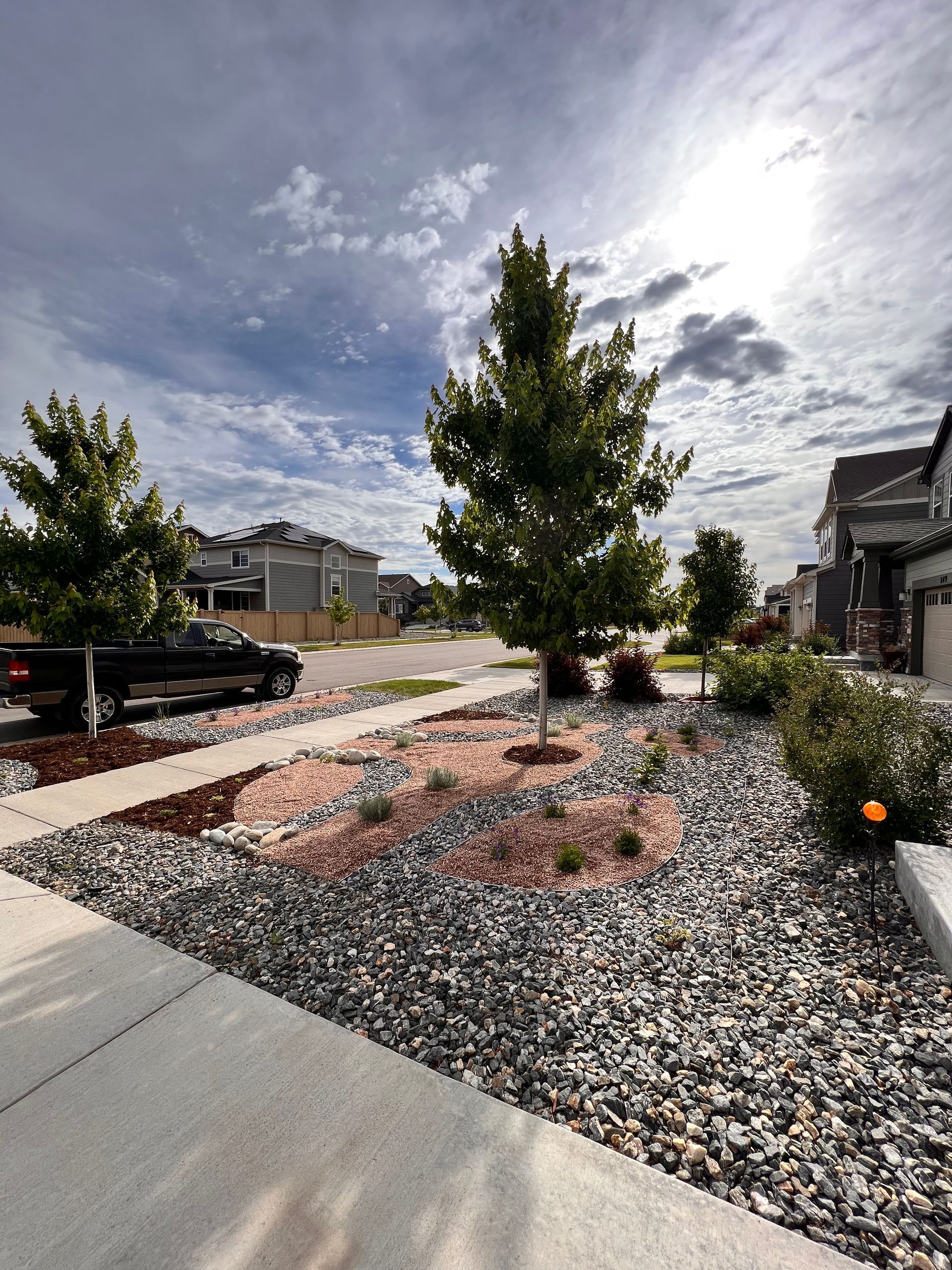 Landscaped yard with trees, gravel, and shrubs, next to a sidewalk and street, under a cloudy sky.