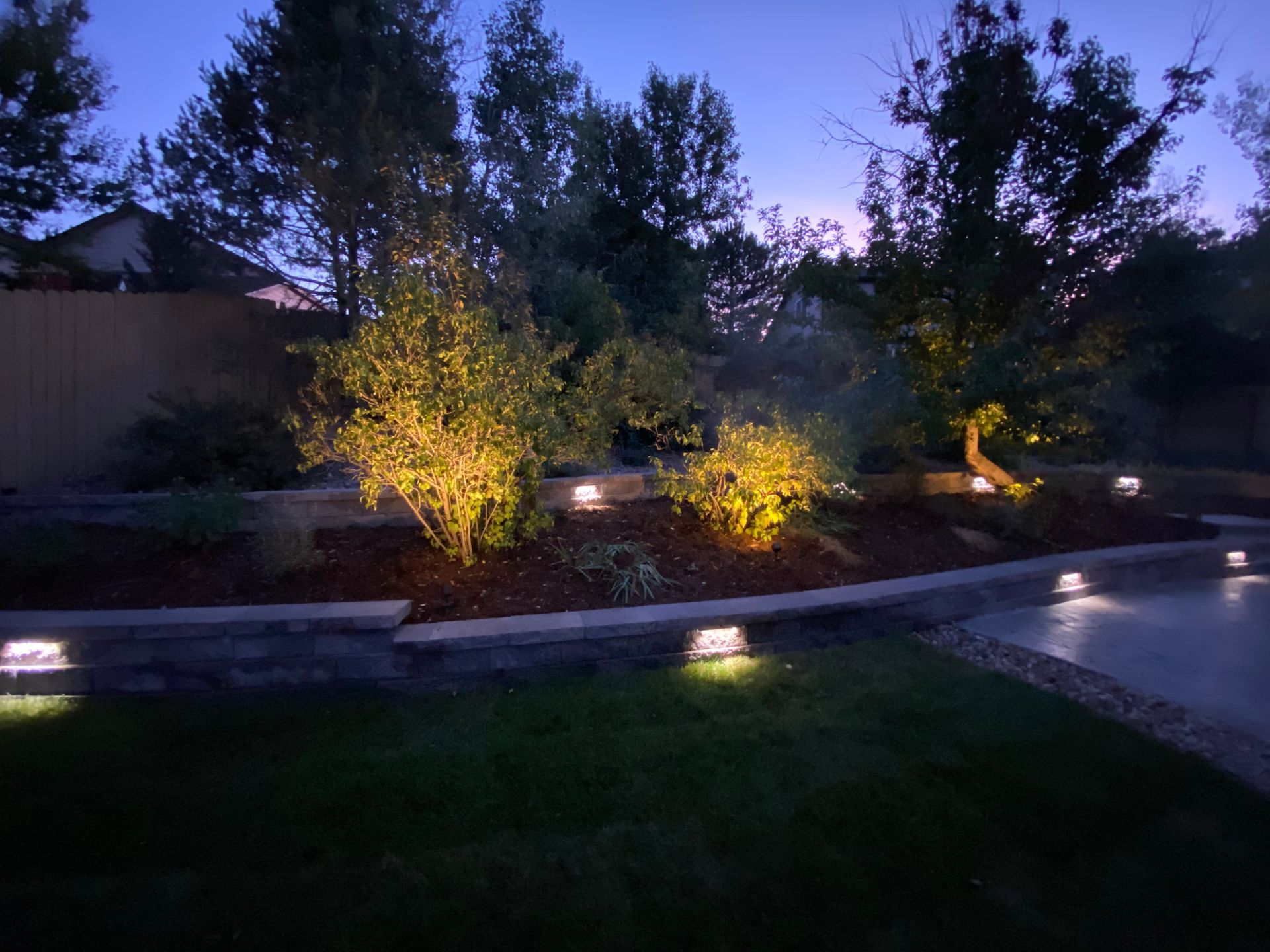 Night view of a backyard with illuminated landscaping. Low lights along walls, trees lit with warm glows, dark sky.