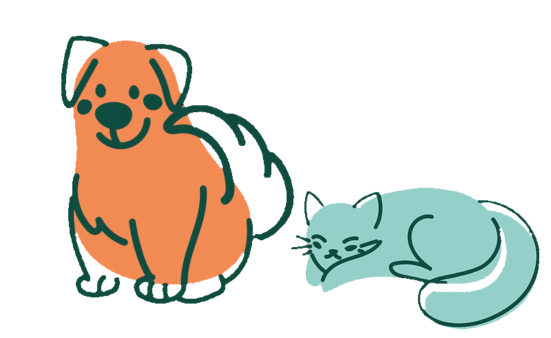 Animated dog and cat