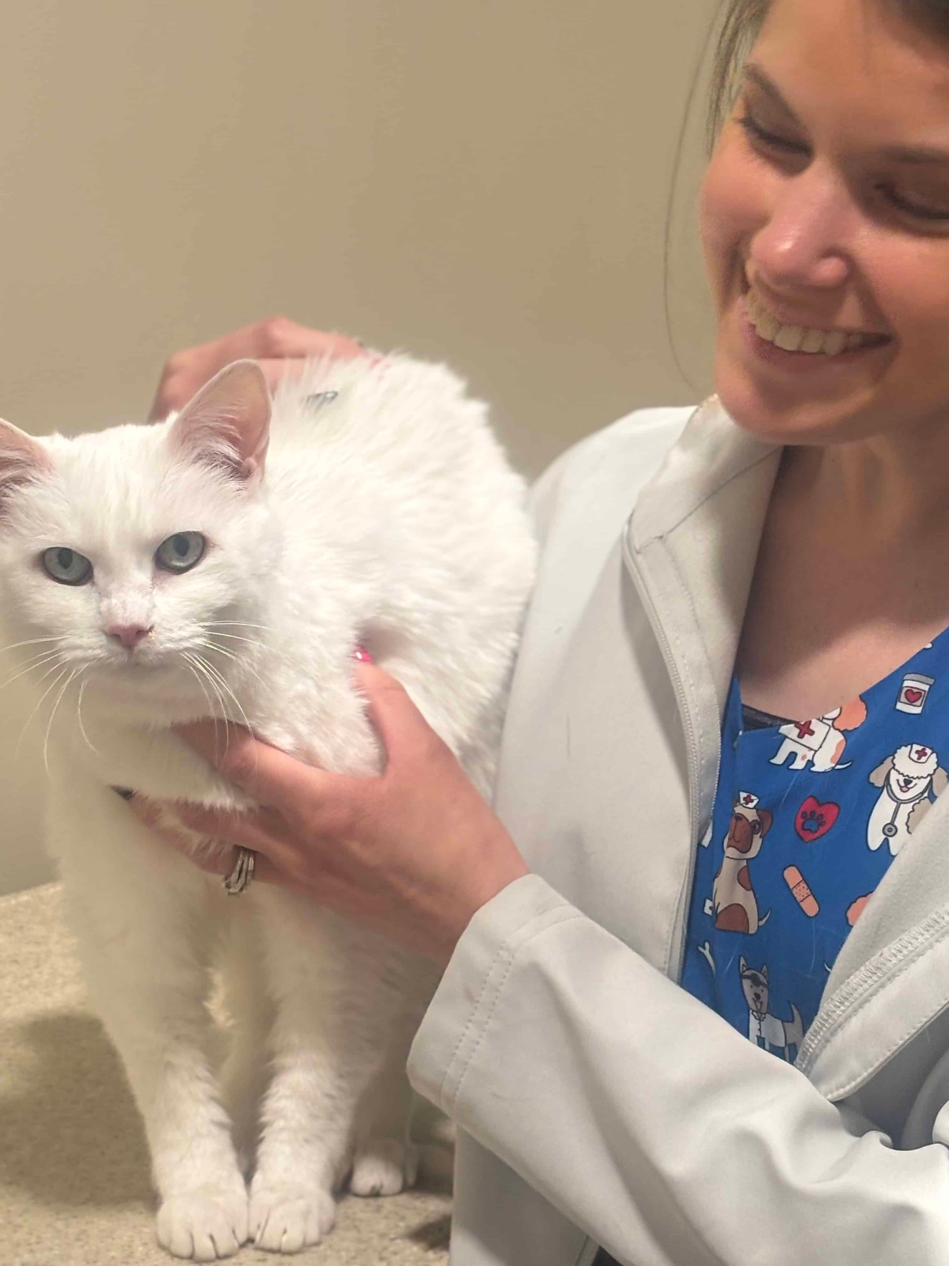 White cat with Vet
