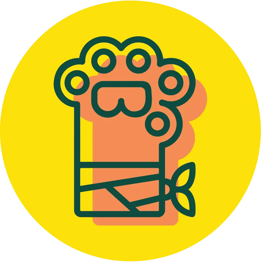Paw with bandages Icon