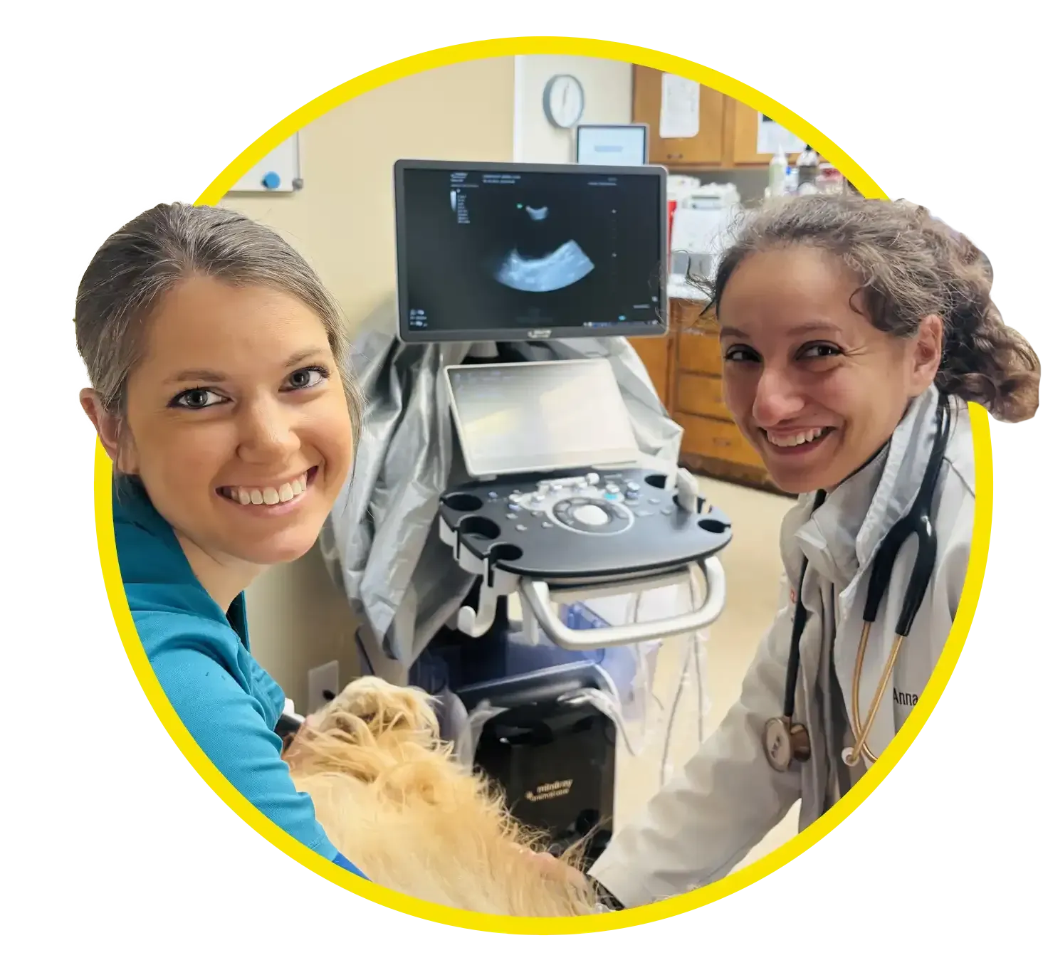 Ultrasound scan displayed on a medical monitor with a technician using the control console