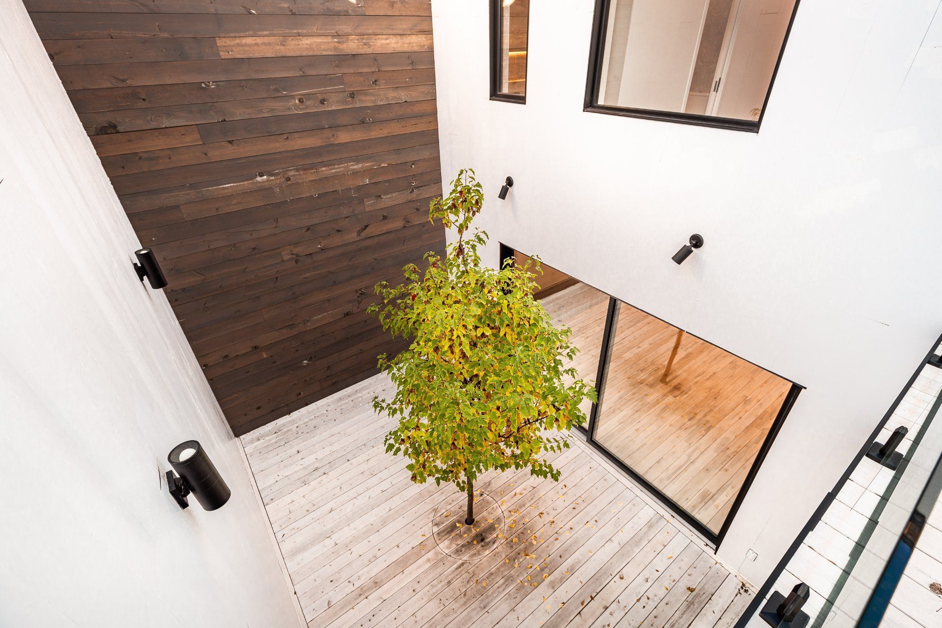 Cour intérieure avec arbre, murs blancs et mur d'accent en bois foncé.