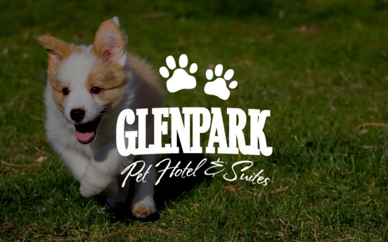 A puppy running on grass with the Glenpark Pet Hotel & Suites logo overlaid.