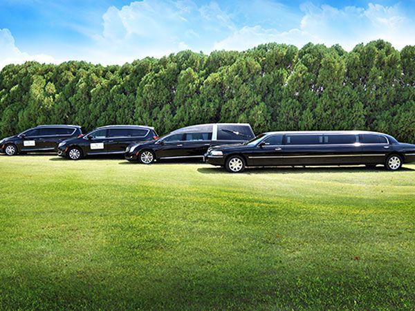 A row of black limousines are parked in a grassy field.