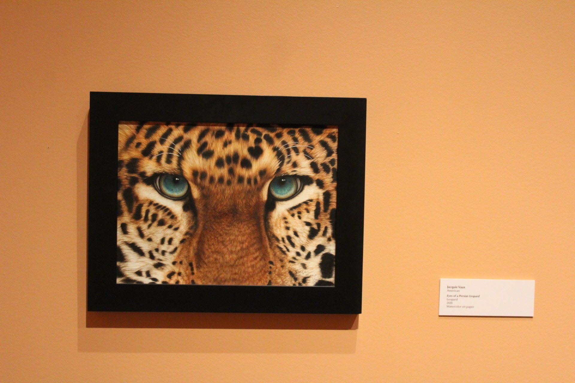 Framed art of a leopard's eyes on a peach wall with a white label below.