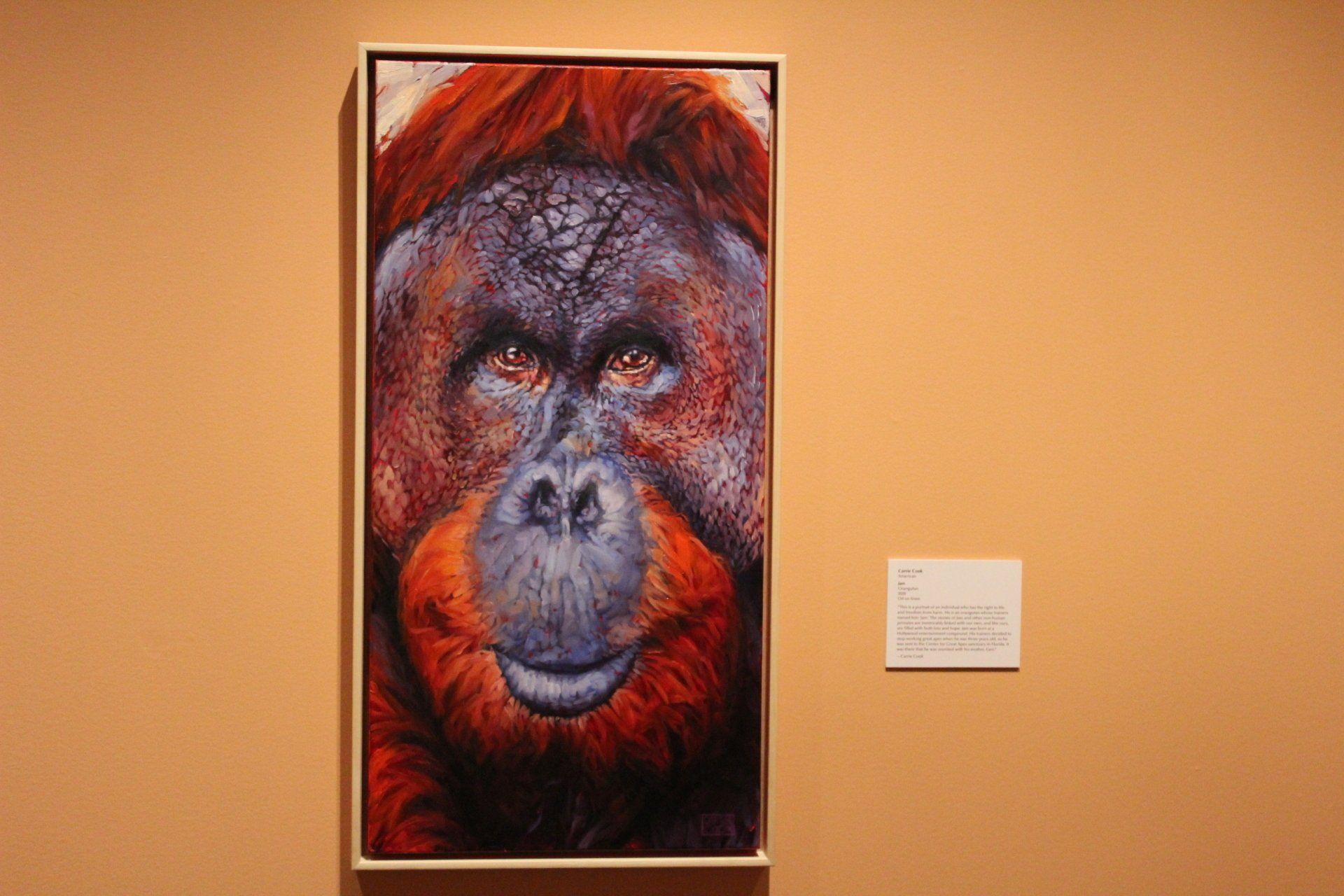 Orangutan portrait art on tan wall; orange and red fur, framed, with a label below.