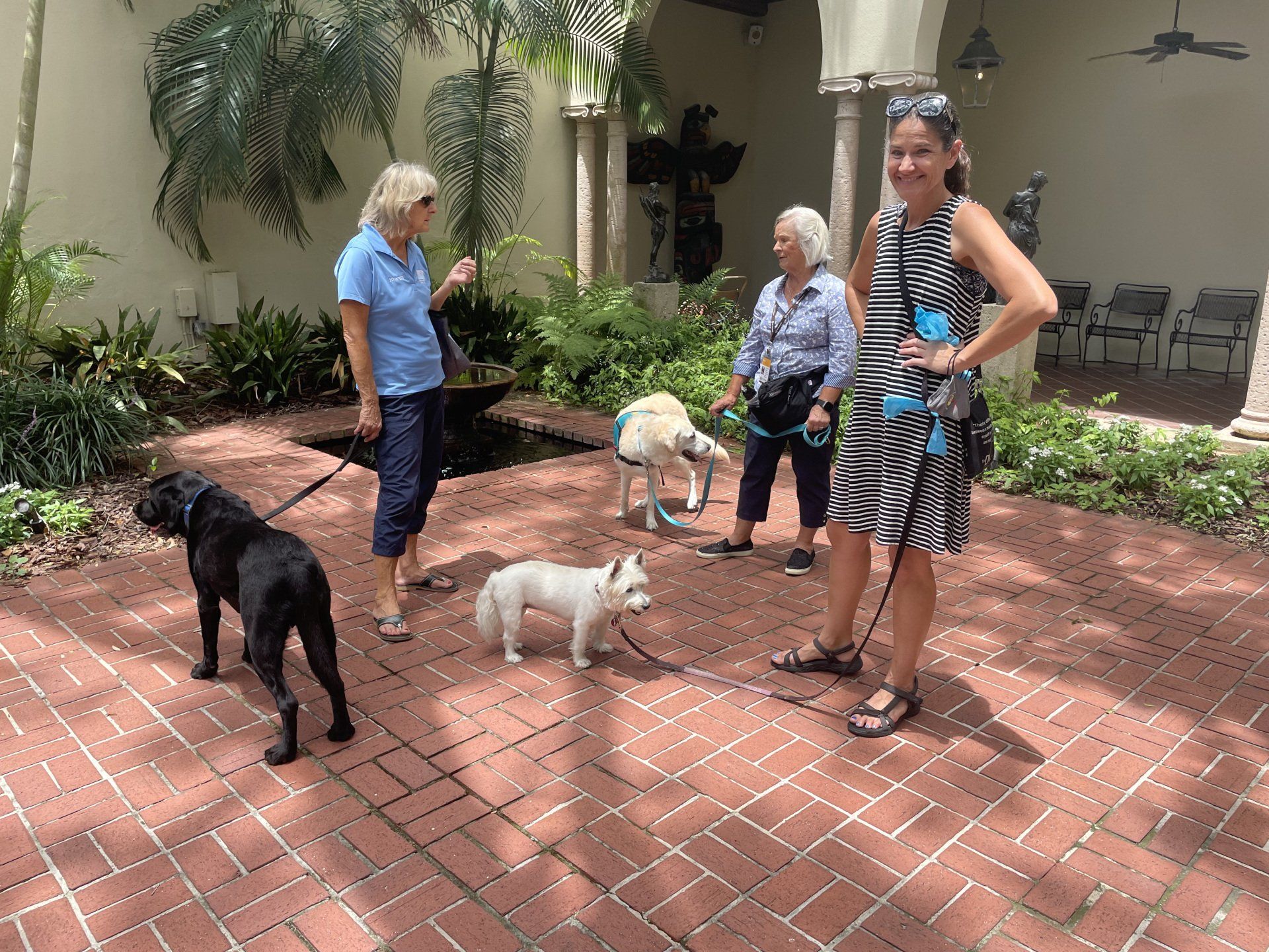 Four women and four dogs in a courtyard with brick floor and a small pond.