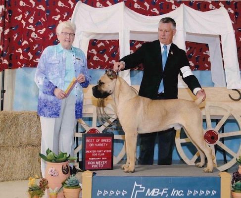 trusted dog breeder burlison tn