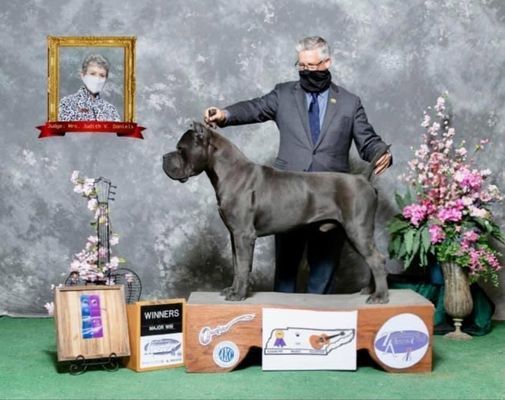 trusted dog breeder