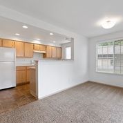 Empty living room with carpet, open kitchen, white walls, and a window with blinds