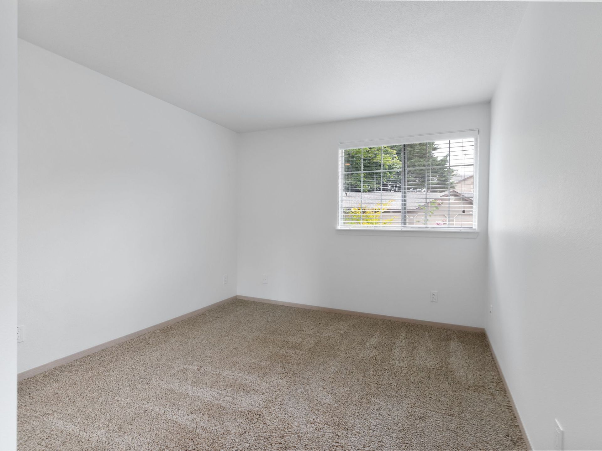 Empty white room with beige carpet and a small window letting in daylight