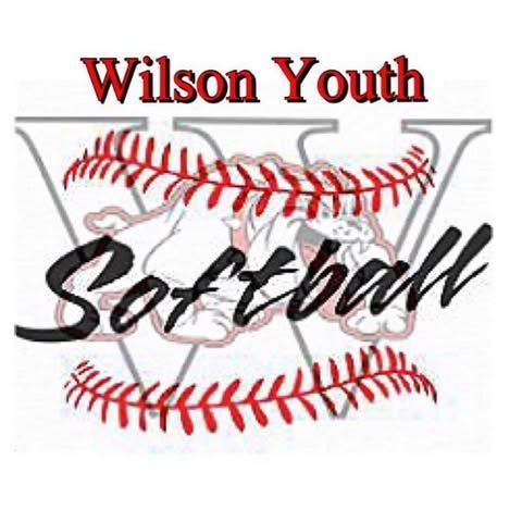 Wilson Youth softball logo with red baseball seams and black script text on white background