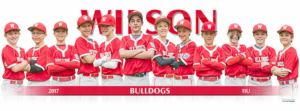 Wisconsin Bulldogs youth baseball team in red uniforms and helmets posing for a team photo