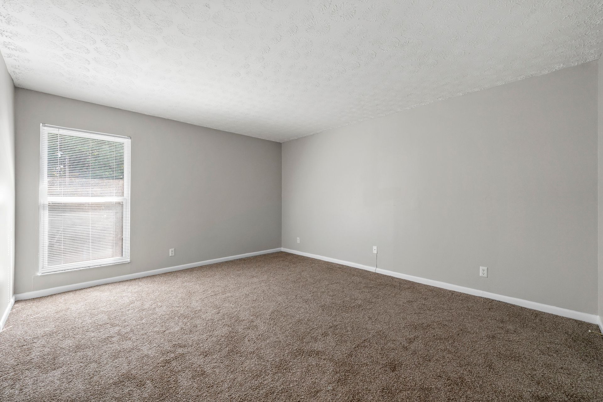 Empty gray carpeted bedroom with white trim and a window with blinds