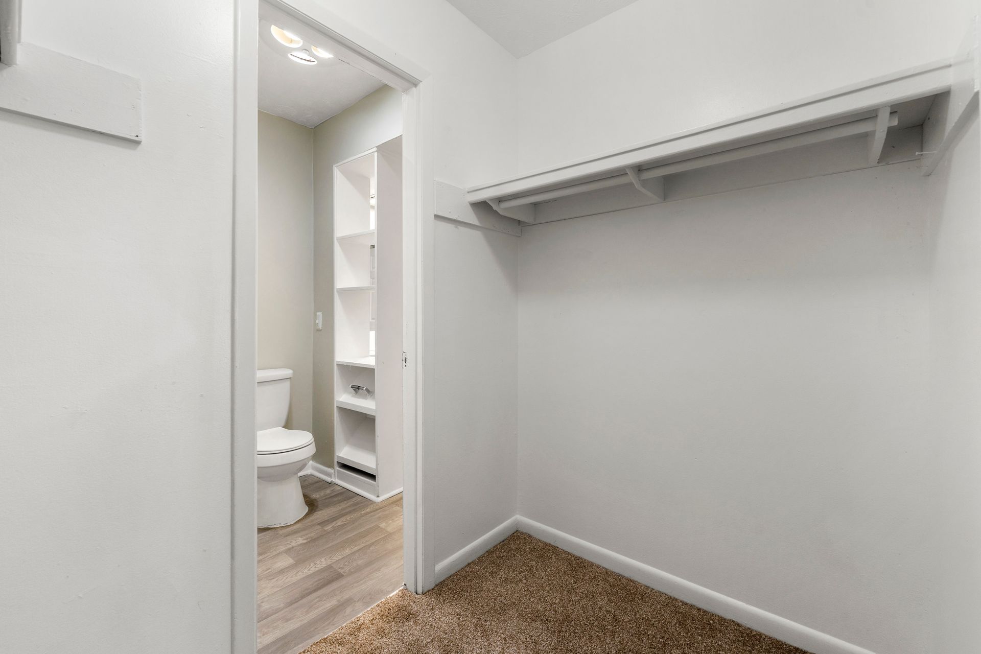 Empty walk-in closet with white walls, beige carpet, and an open doorway to a bathroom.