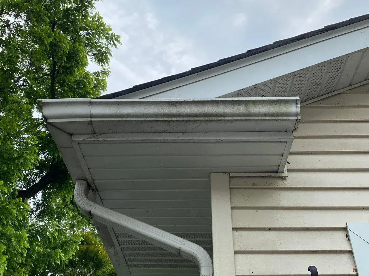 Dirty Gutter Side - Lake Zurich, IL - Peter’s Power Wash Services