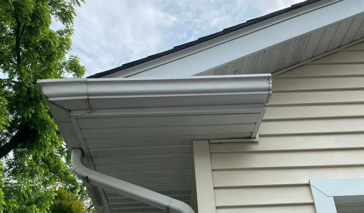 Clean Gutter Side - Lake Zurich, IL - Peter’s Power Wash Services