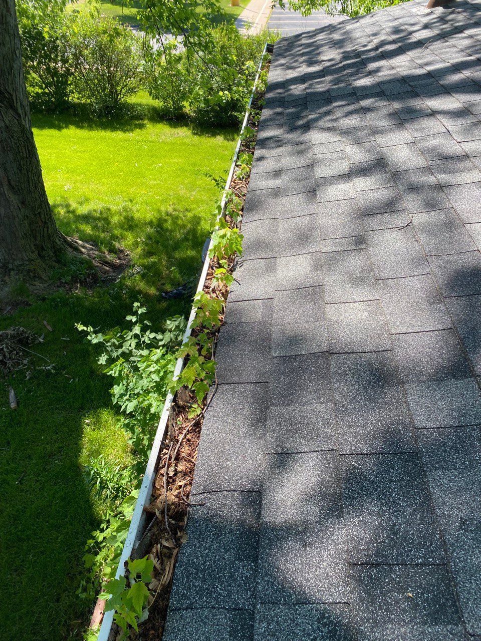 Dirty Gutter - Lake Zurich, IL - Peter’s Power Wash Services
