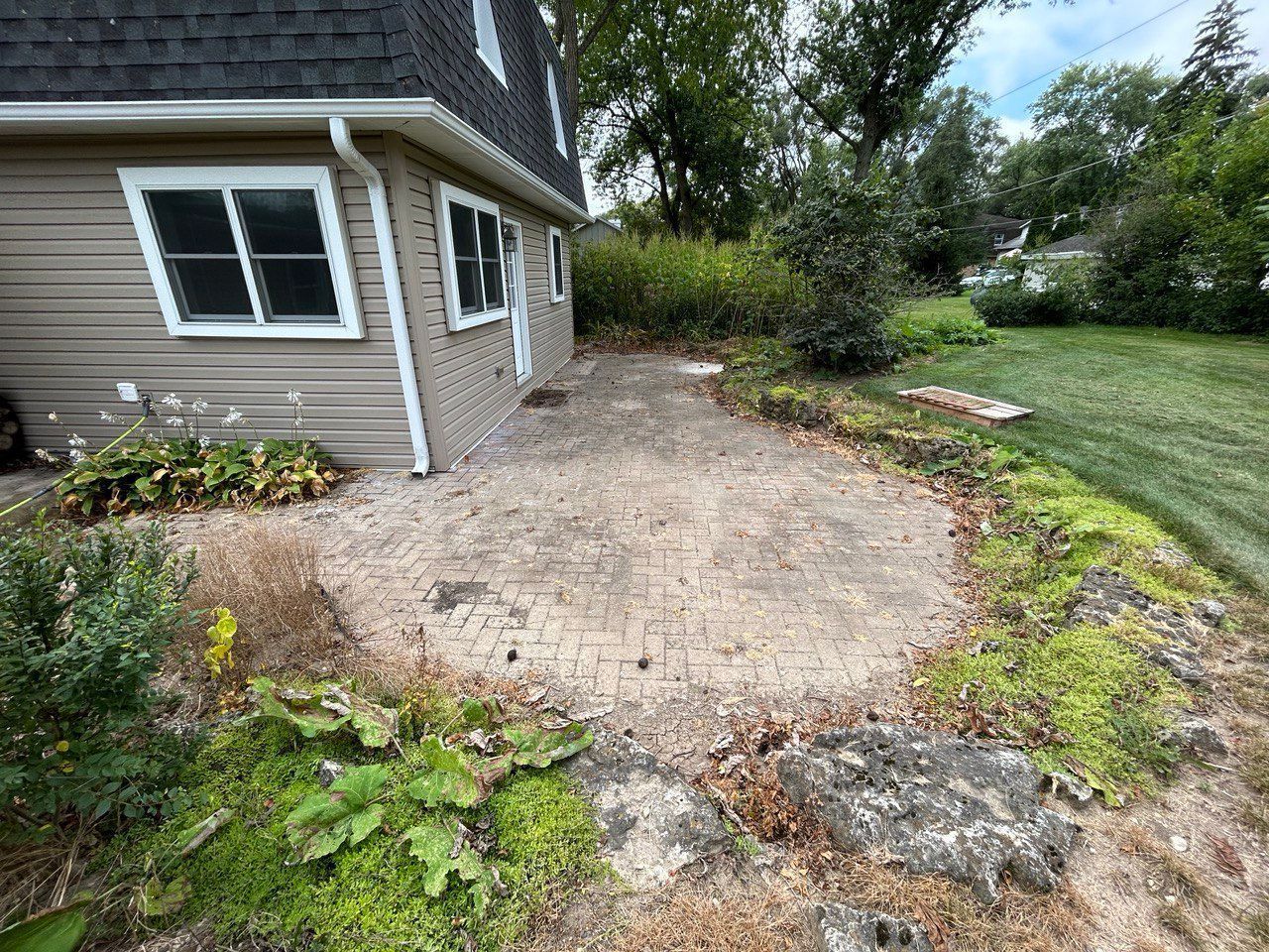 Clean Backyard - Lake Zurich, IL - Peter’s Power Wash Services