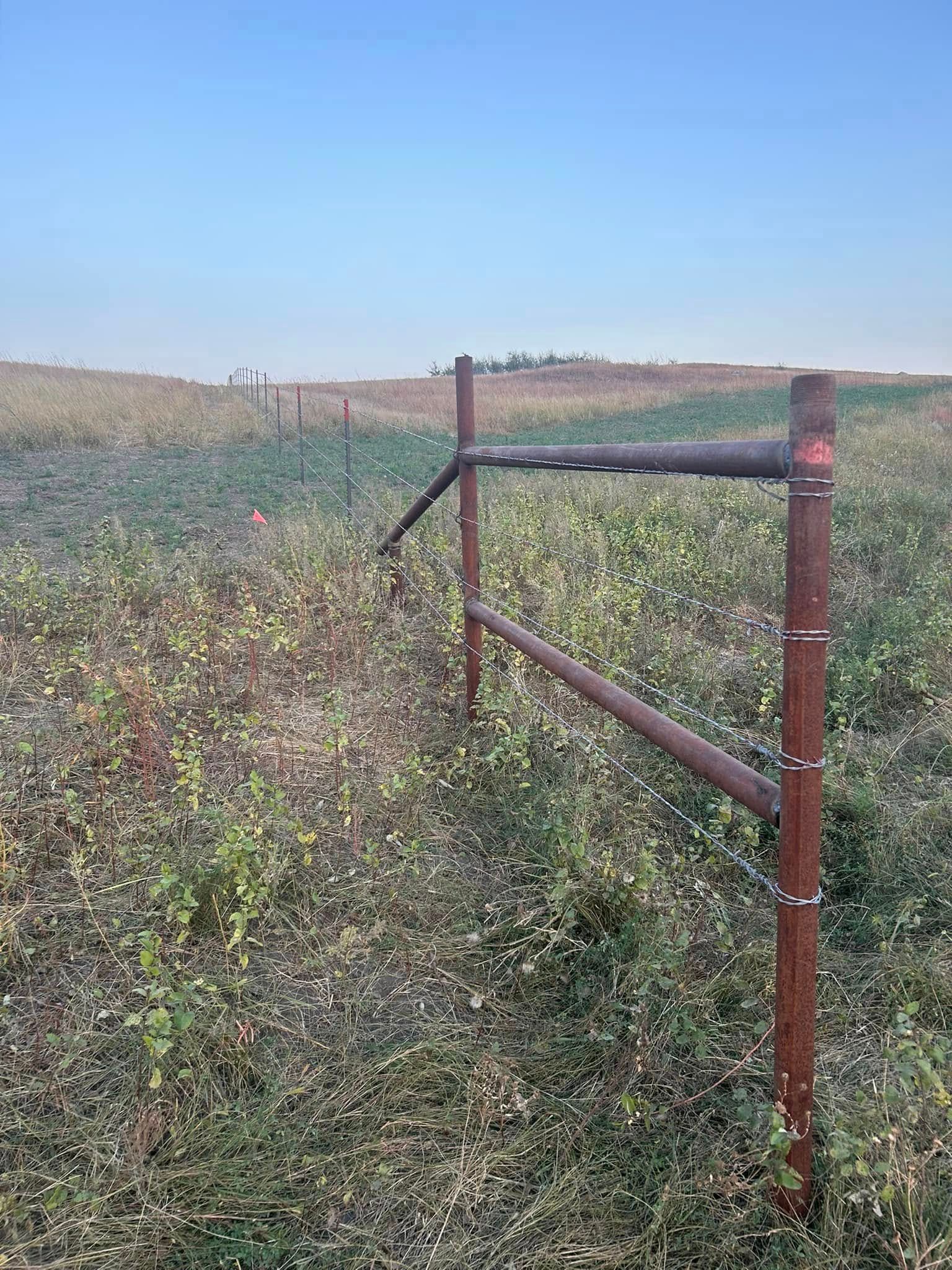 Rust-colored metal fence in a field of tall grass under a blue sky.