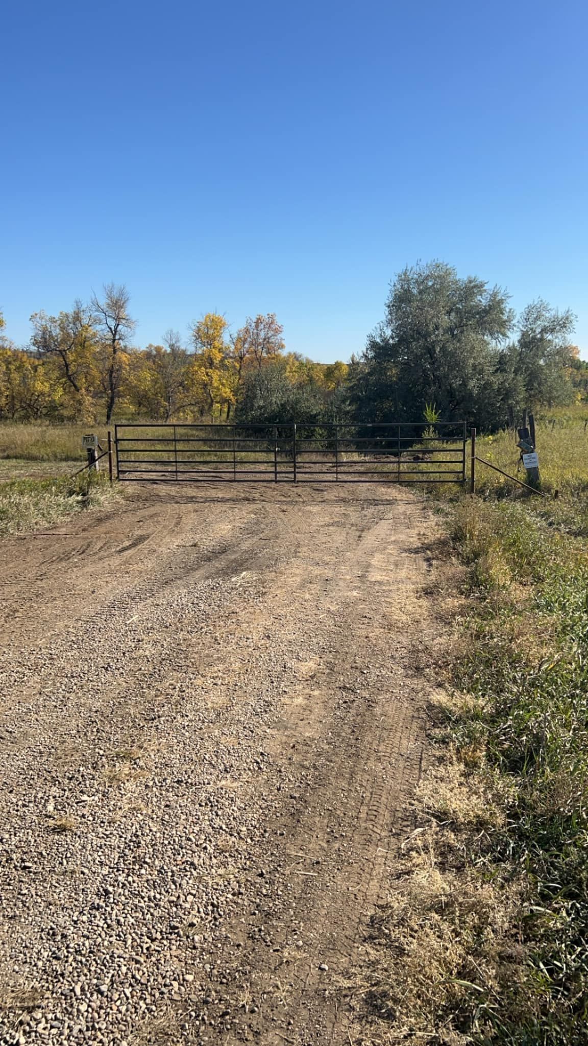Gravel road leading to a closed metal gate with trees and blue sky background.