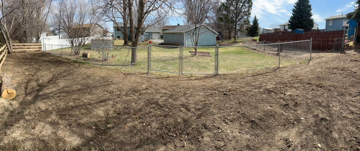 A backyard with brown dirt and green grass. Bare trees and houses are visible. A fence is in the middle.