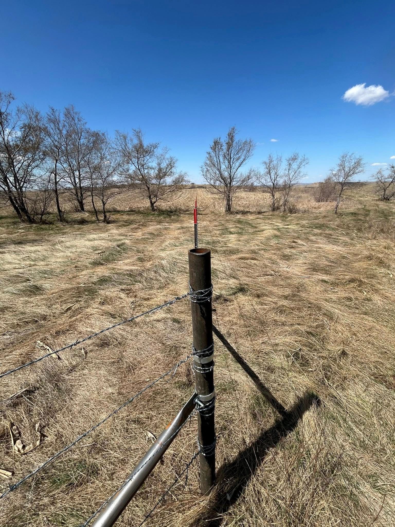 Black pole with red top in field, blue sky, leafless trees.