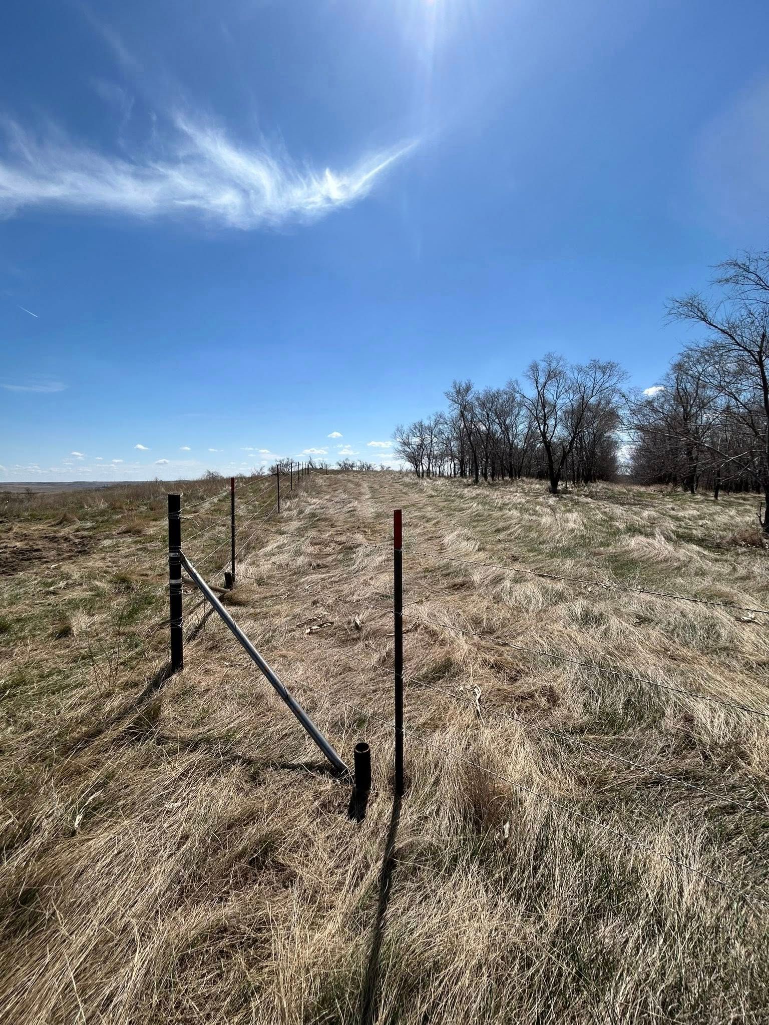 Fence in a field under a bright blue sky, with some trees in the distance.