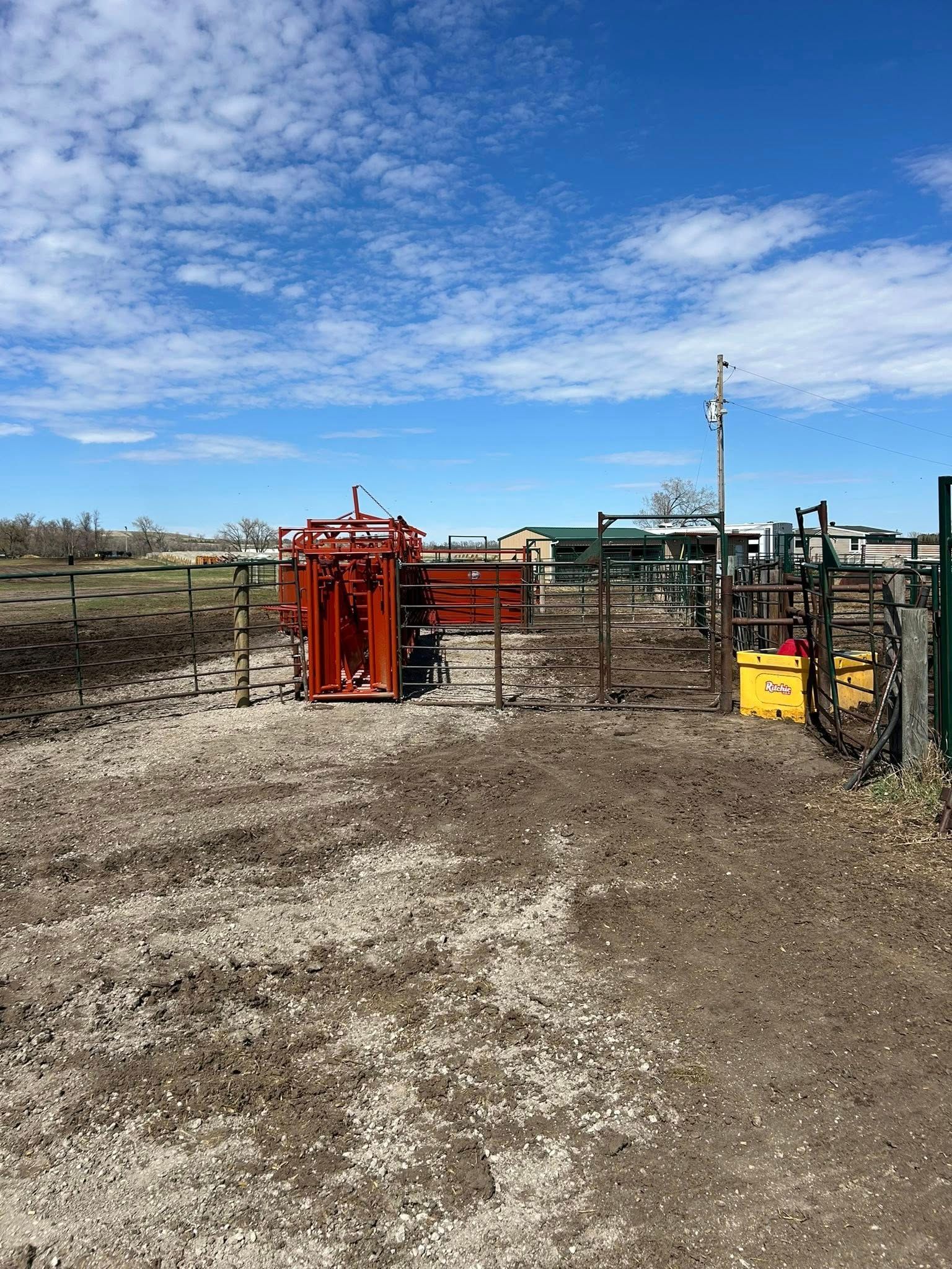 Red cattle chute and sorting pens in a dirt lot under a blue sky.