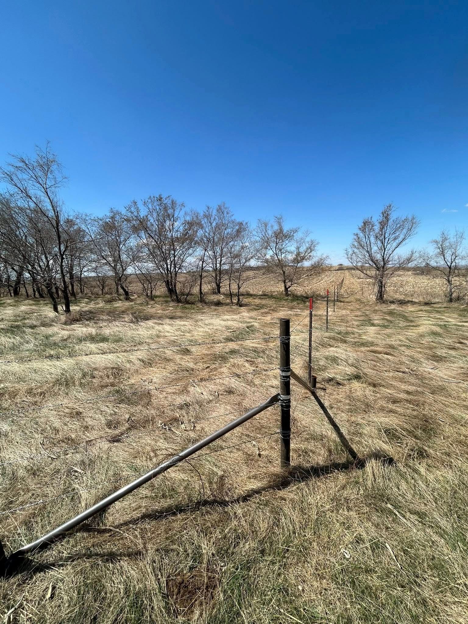 Field with fence and trees under a clear blue sky.