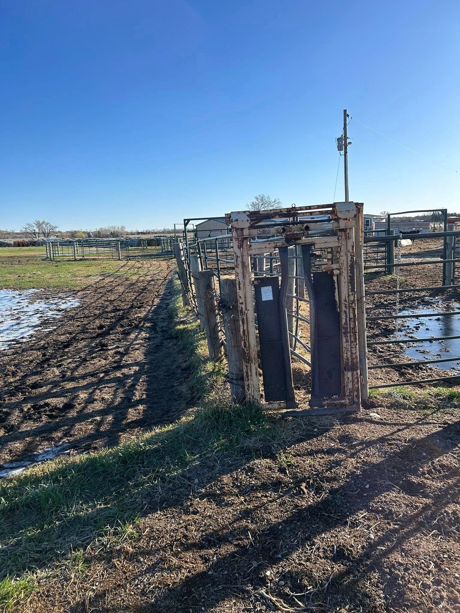 Cattle chute in a muddy field. Bright sun, blue sky. Fence extends into the background.