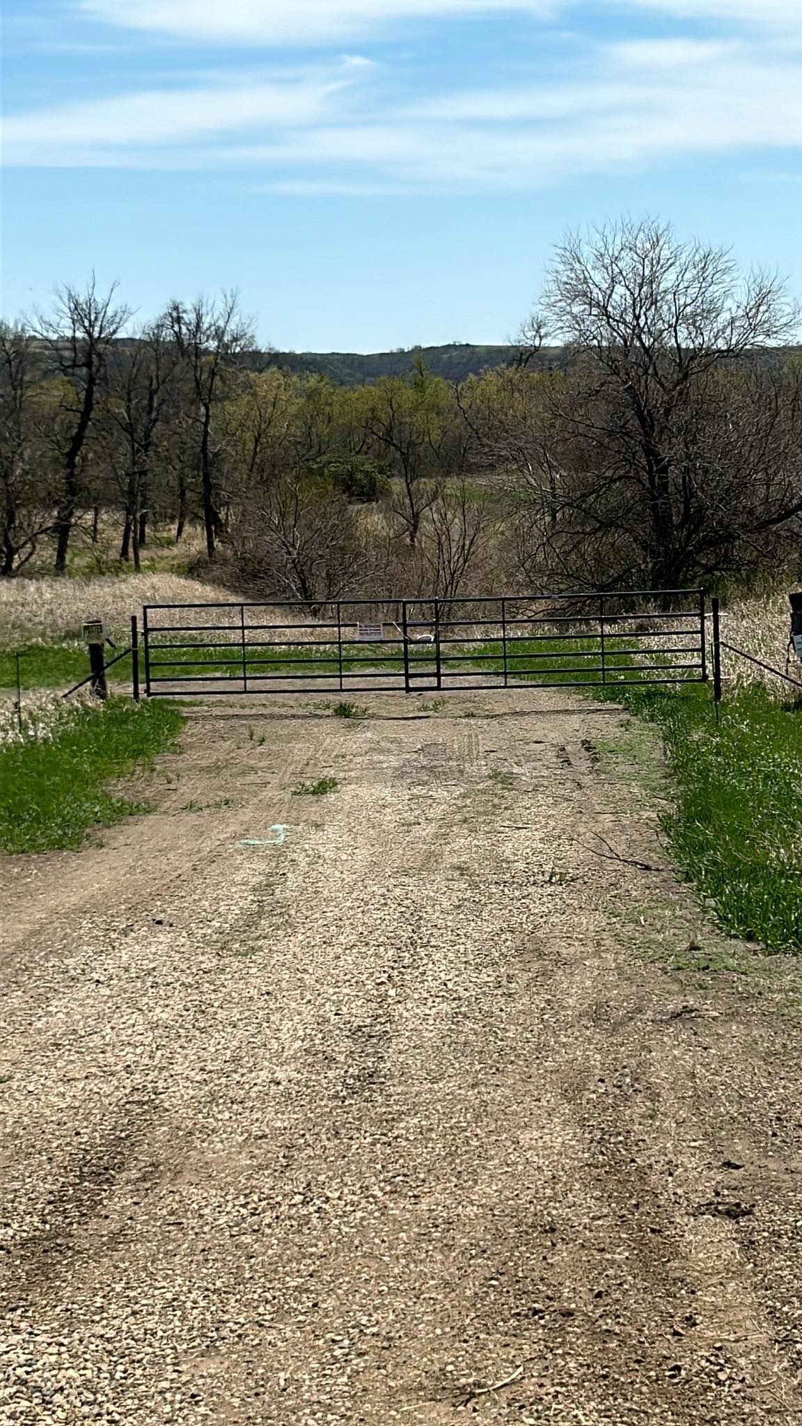 Dirt path leading to a metal gate in a field with trees and blue sky.