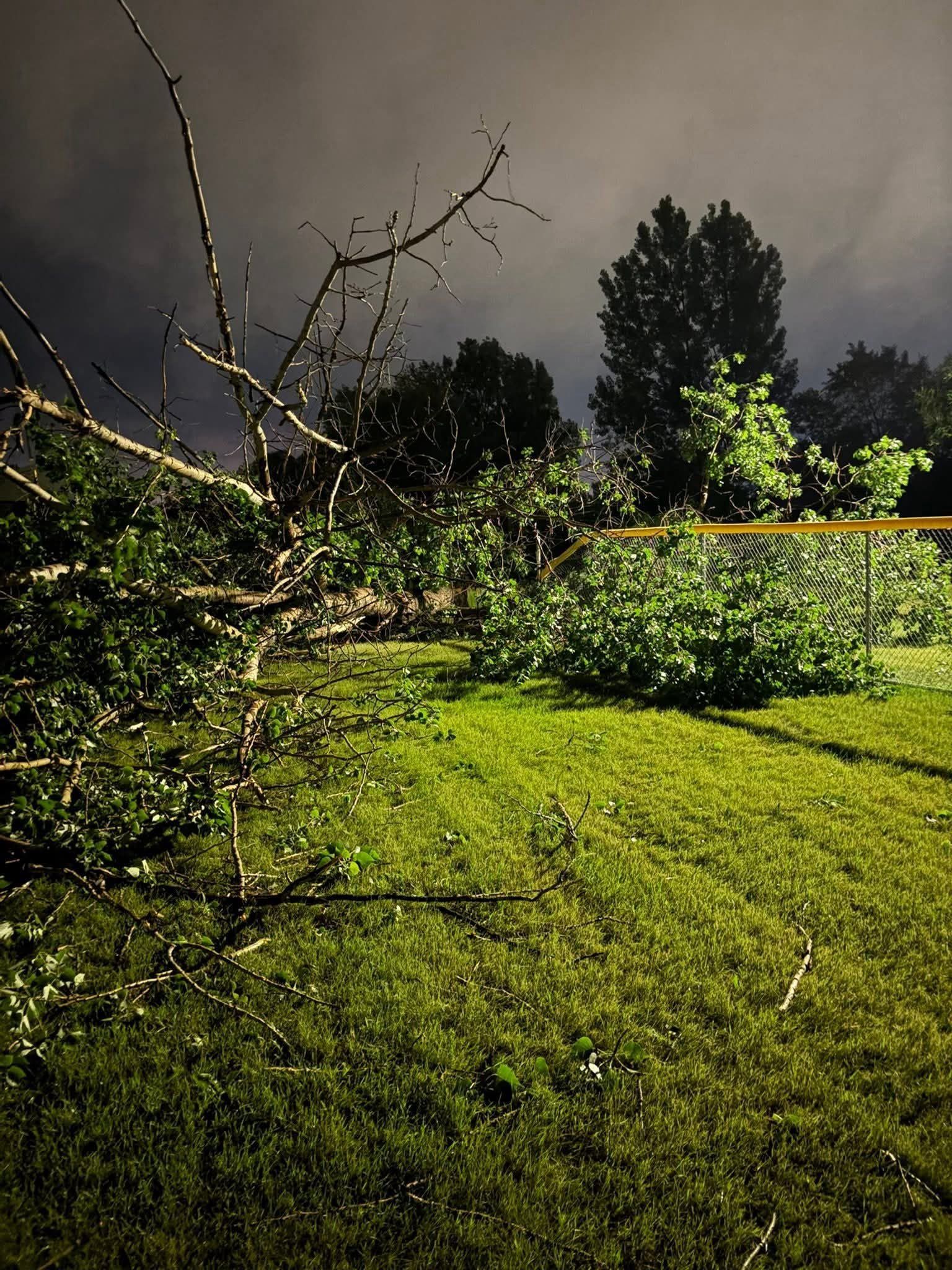 Lush green lawn with a bare tree branch in the foreground, bushes and trees in the background, under a dark, stormy sky.
