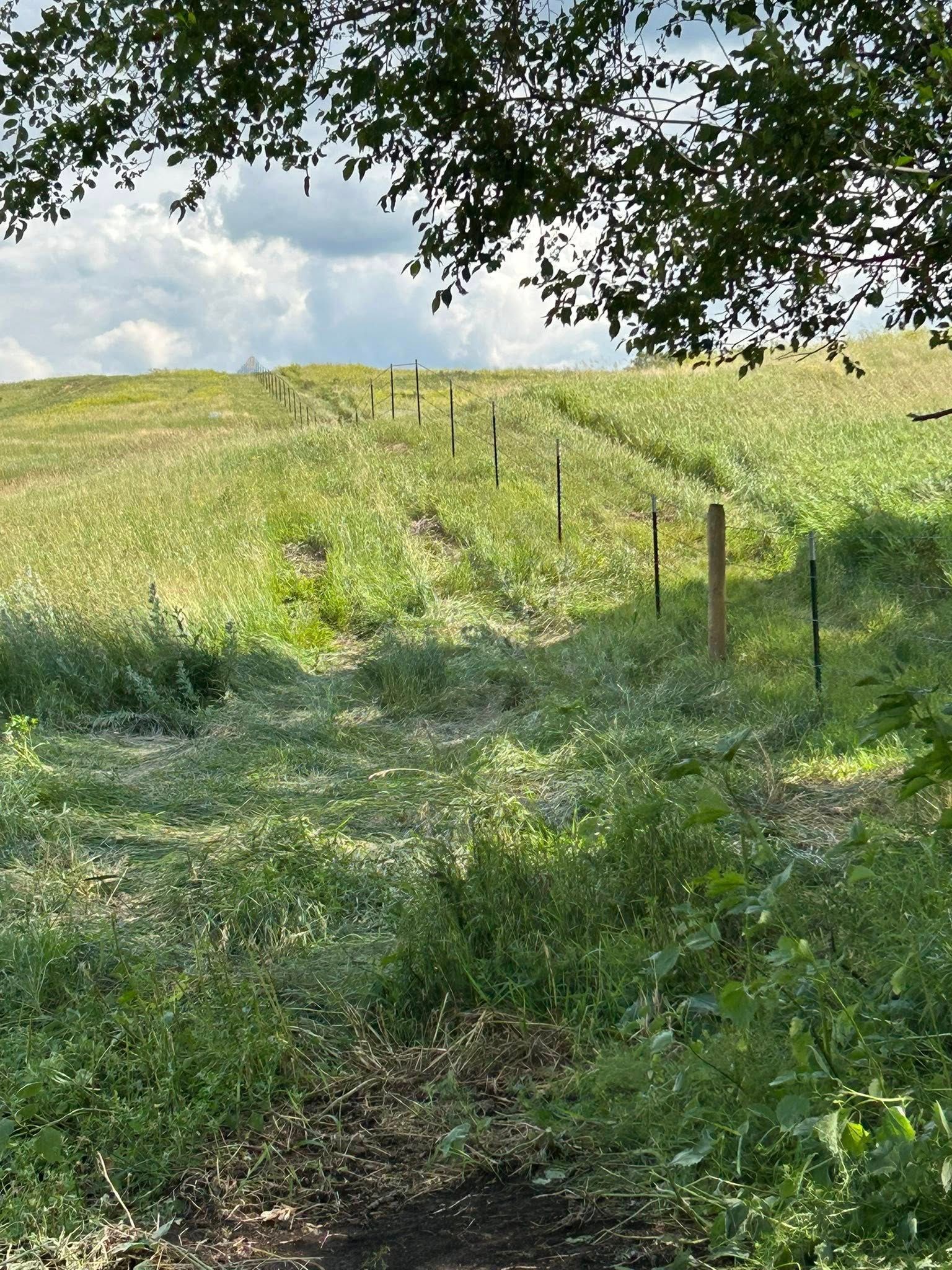 Grassy field with a fence leading up a hill under a cloudy sky.
