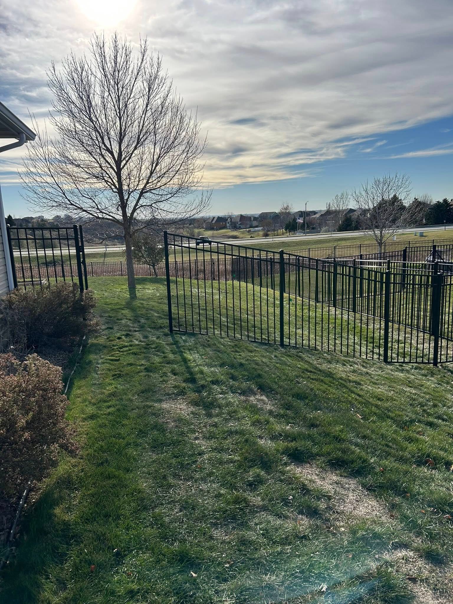 Green lawn, black metal fence, and a leafless tree under a blue sky.