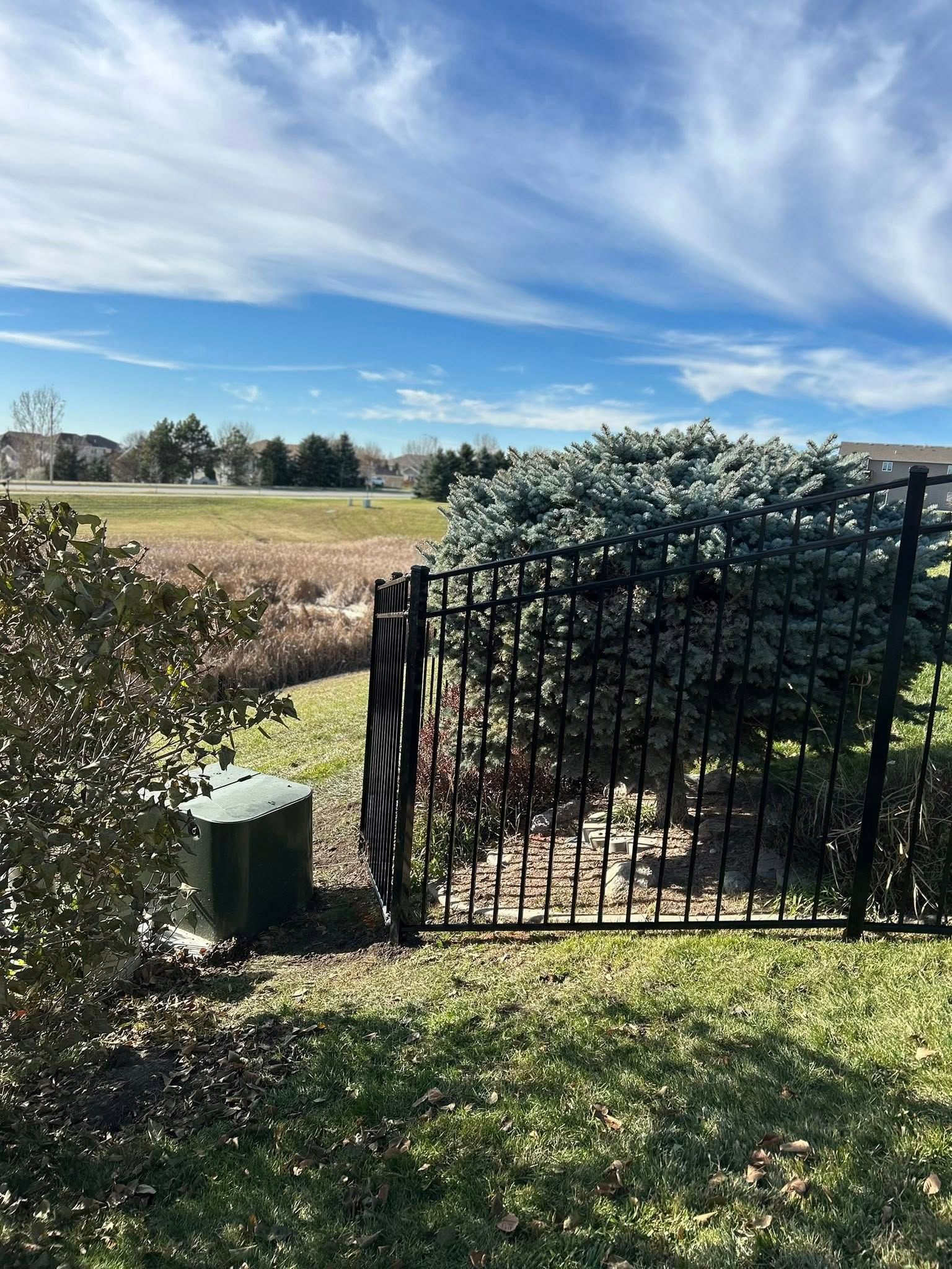 Black metal fence and green bushes border a grassy area. Blue sky with clouds in background.