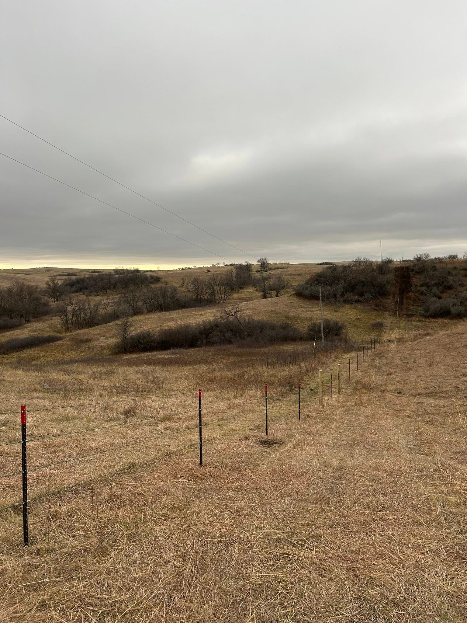 Field with brown grass, sparse bushes, under a cloudy sky. Birds fly in a line.