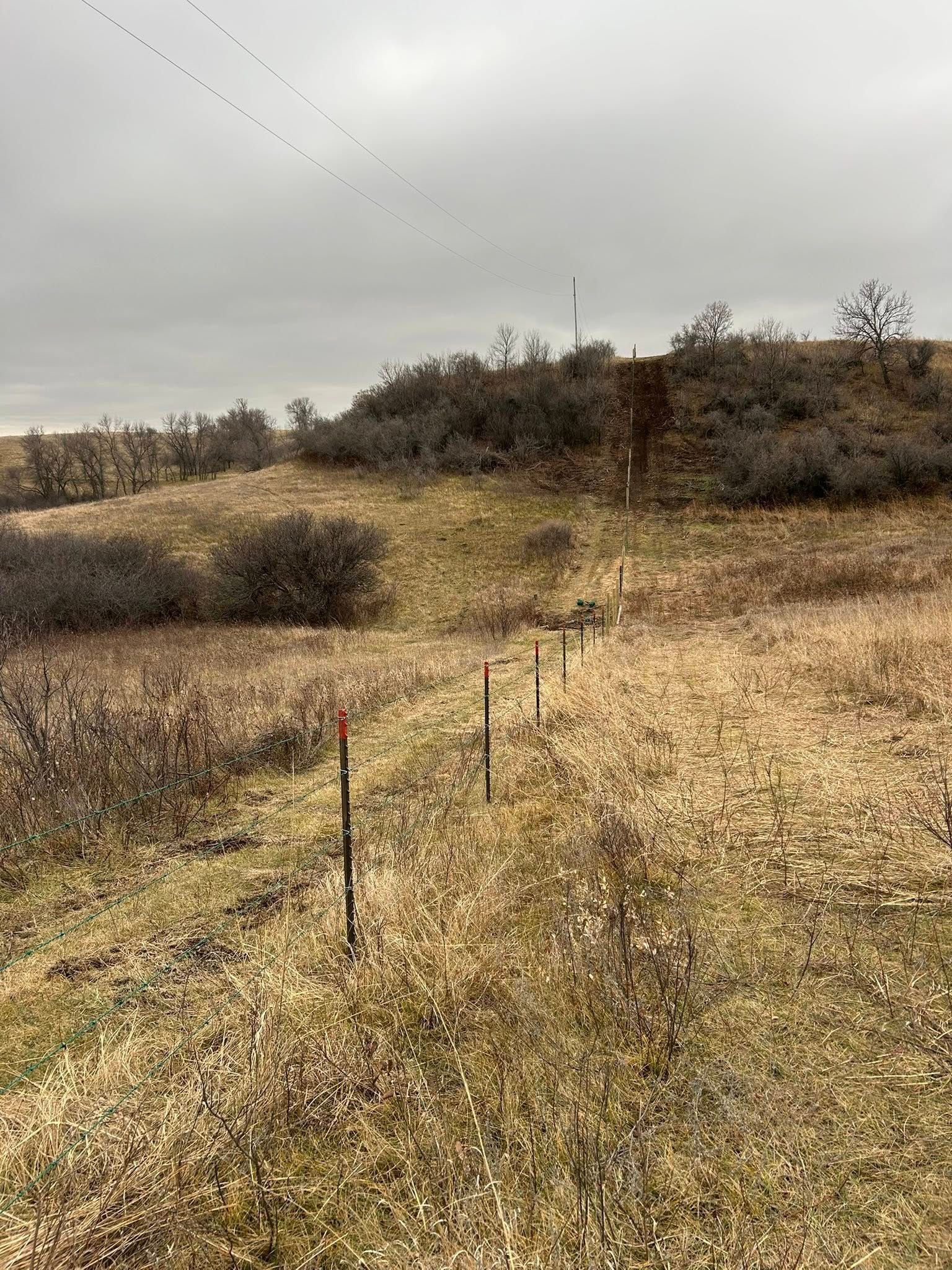 Rolling, grassy hills with a fence line marked by orange-topped stakes. Overcast sky, sparse trees.
