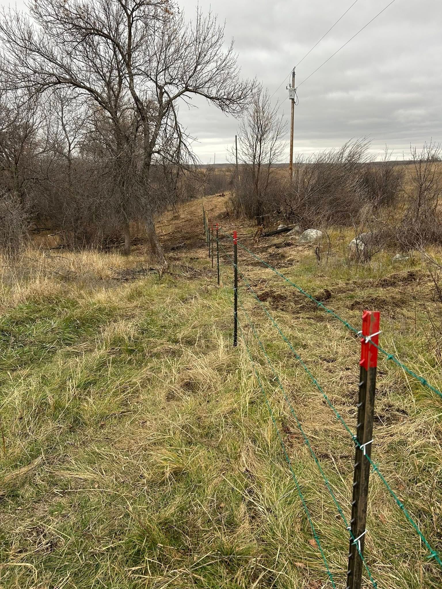 A grassy field with a wire fence, trees, and utility poles under a cloudy sky.