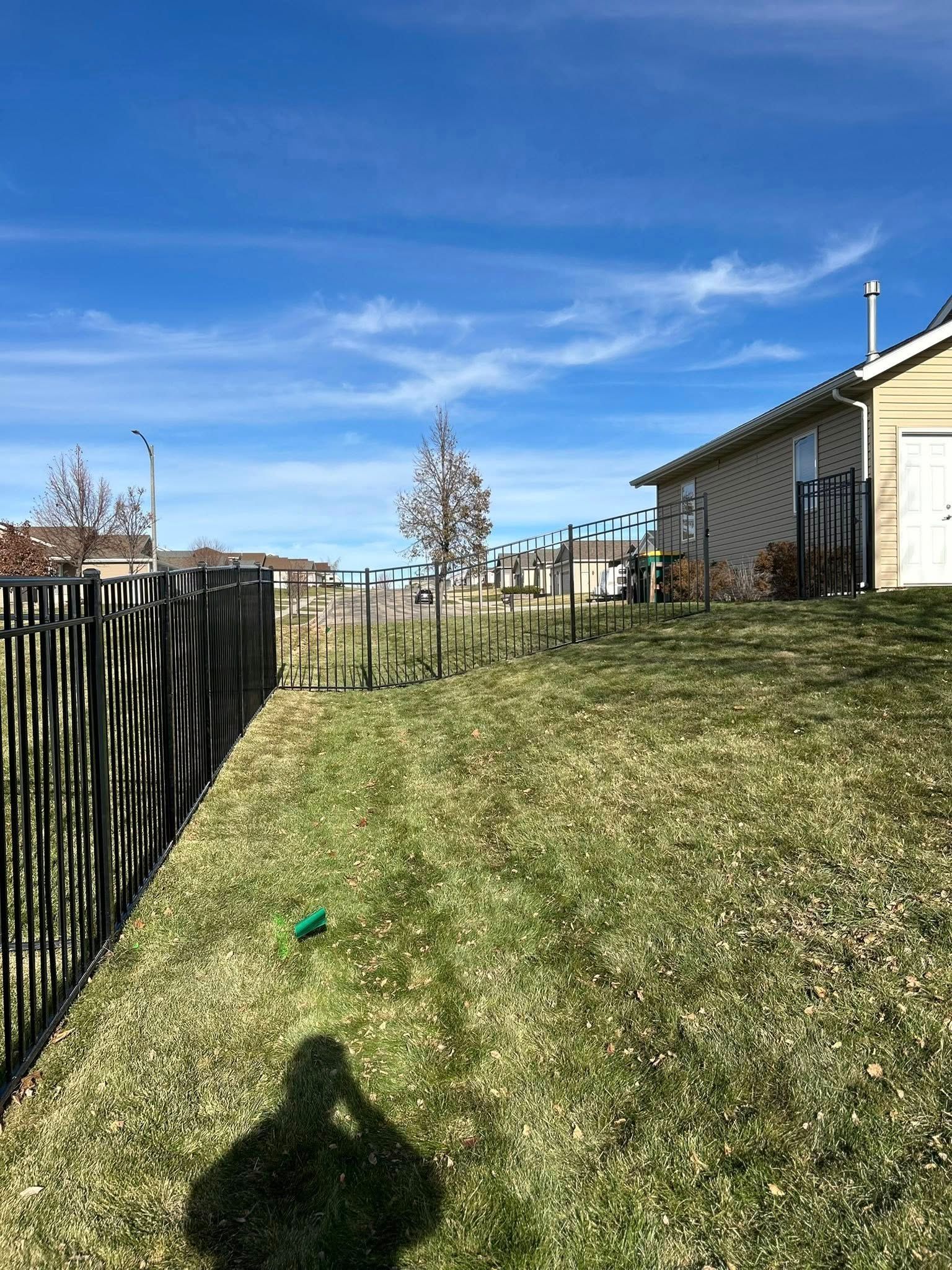 Backyard with black fence, green grass, and blue sky. House is on the right. A shadow is cast in the foreground.