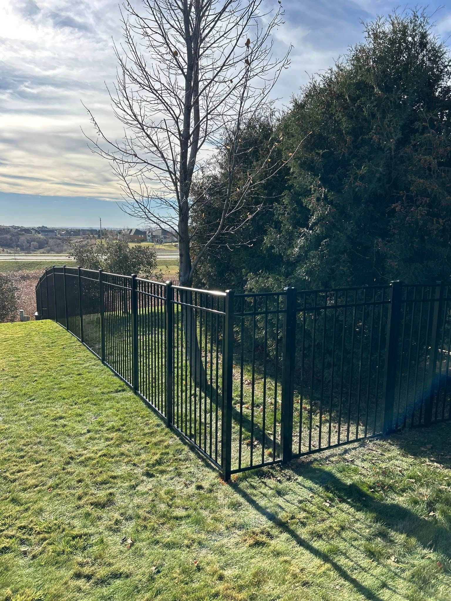 Black metal fence on a grassy hill, tree in background. Sky and distant buildings visible.