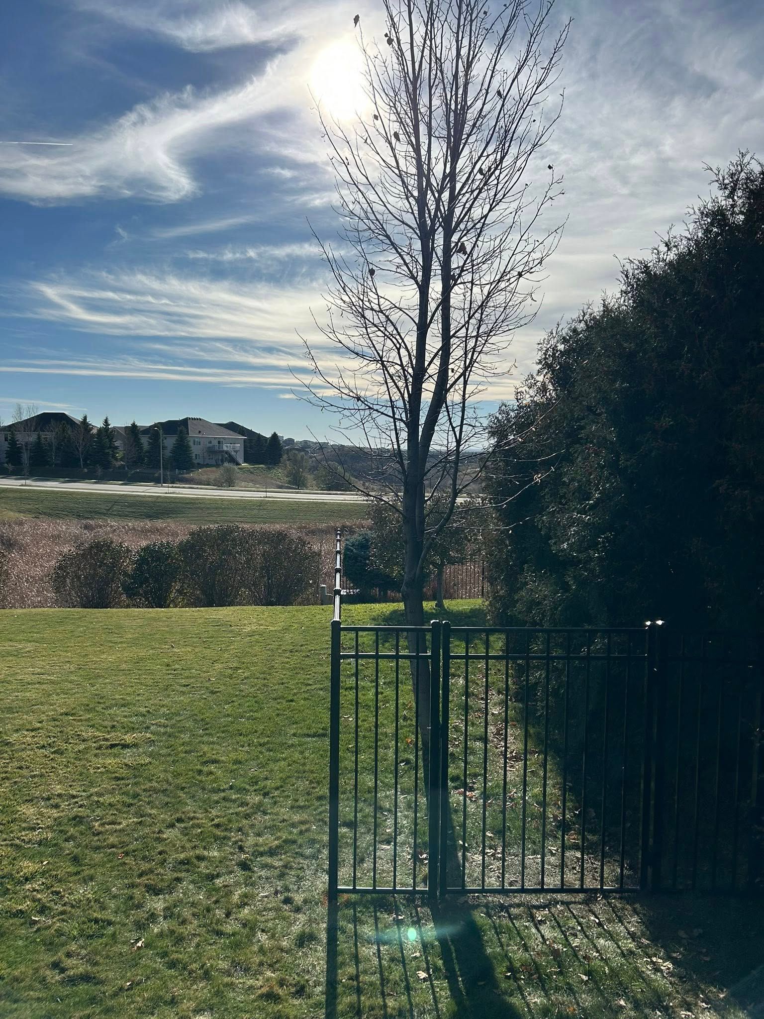 A sunny day with a tree inside a black fence, with sprinklers in the distance and blue sky with clouds.