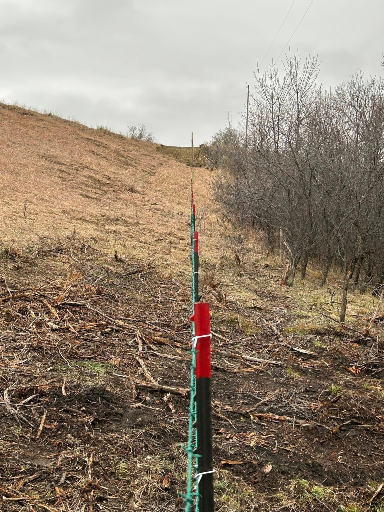 Green fence with orange and white markers runs between dry brown field and bare trees on a cloudy day.