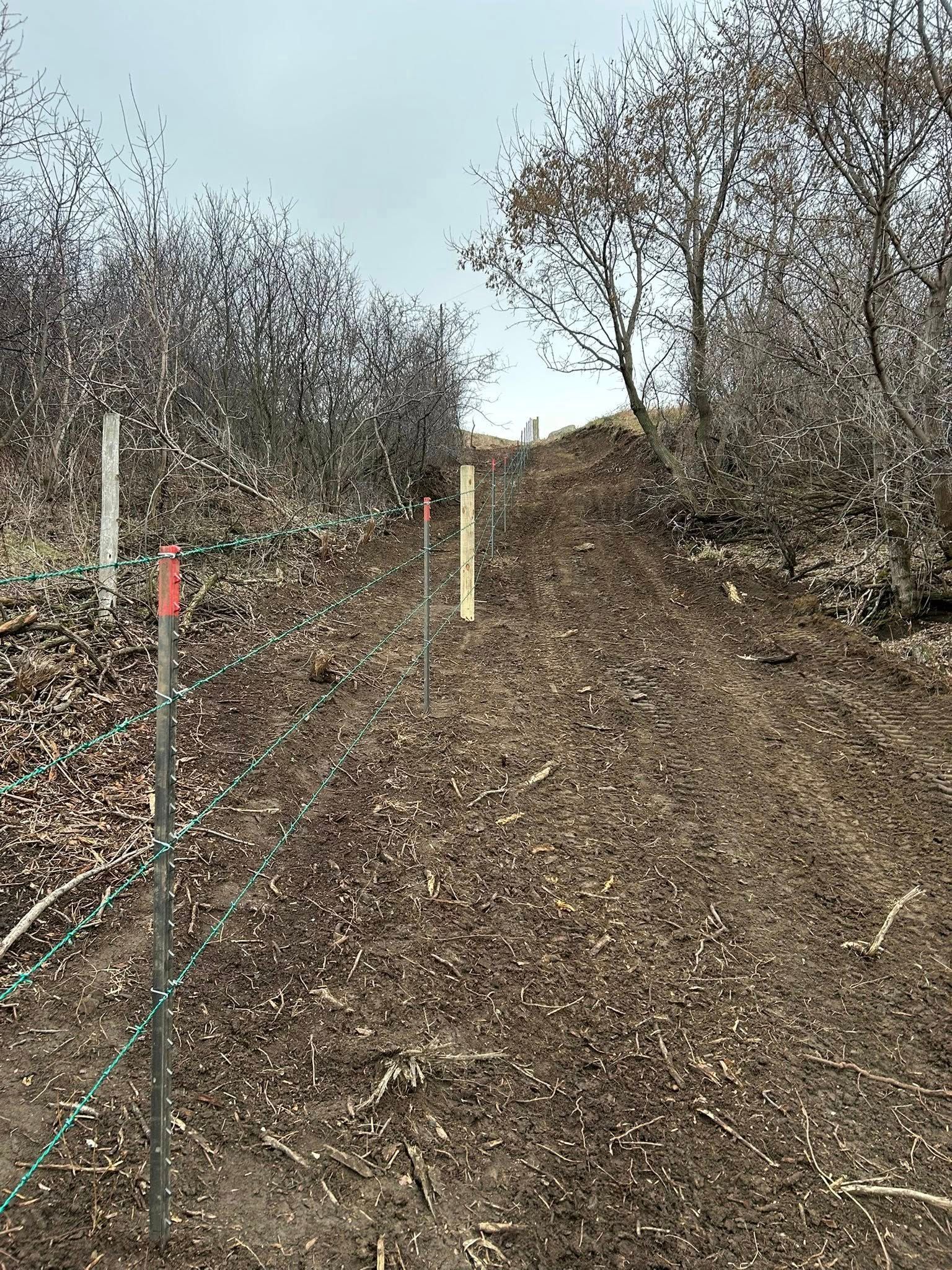 Dirt path uphill, flanked by bare bushes and trees. Wooden stakes mark a route.
