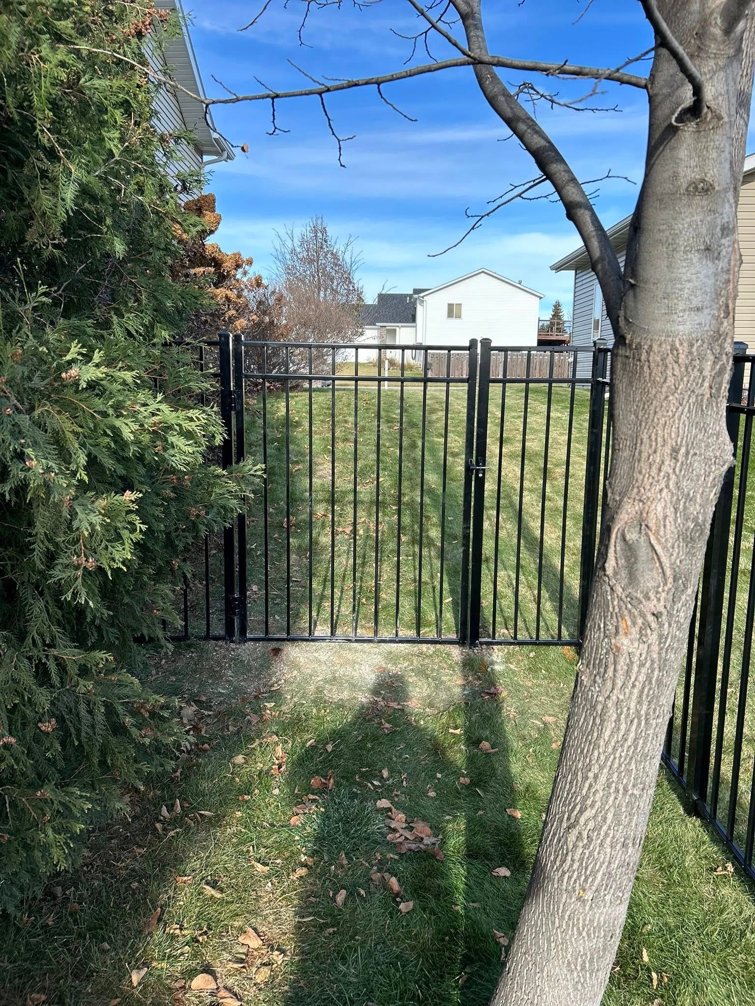 Black metal fence, tree, and evergreen trees against a blue sky with some houses in the distance.
