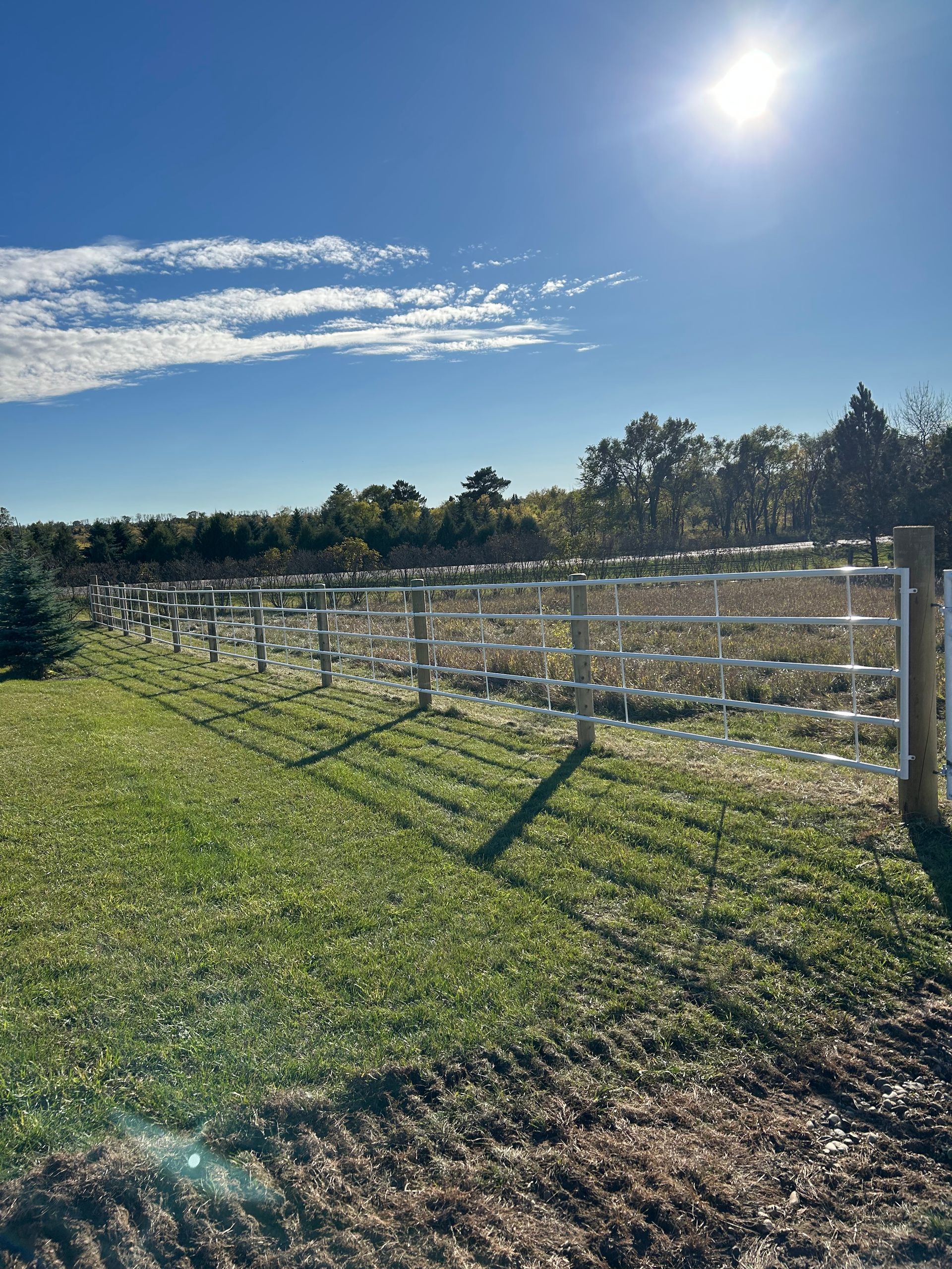 Bright sun over a grassy field with a metal fence, trees, and a blue sky with clouds.